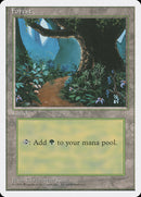 Forest [Fourth Edition]