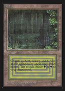 Bayou (IE) [Intl. Collectors’ Edition]