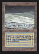 Tundra (IE) [Intl. Collectors’ Edition]
