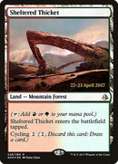 Sheltered Thicket (Prerelease Promo) [Amonkhet Prerelease Promos]