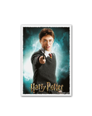 Dragon Shield - Art Matte Sleeve Harry Potter