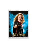 Dragon Shield - Art Matte Sleeve Hermione Granger