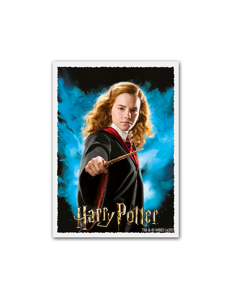 Dragon Shield - Art Matte Sleeve Hermione Granger