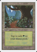 Forest [Unlimited Edition]