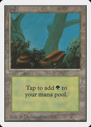 Forest [Unlimited Edition]