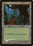 Forest [Arena League 2001]